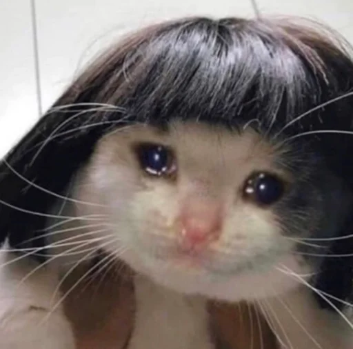 Эмодзи ಥ_ಥ