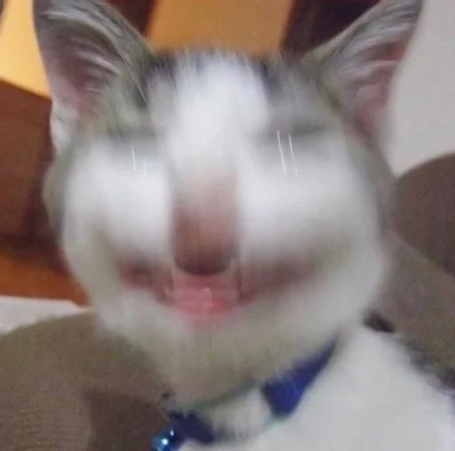 Эмодзи ಥ_ಥ