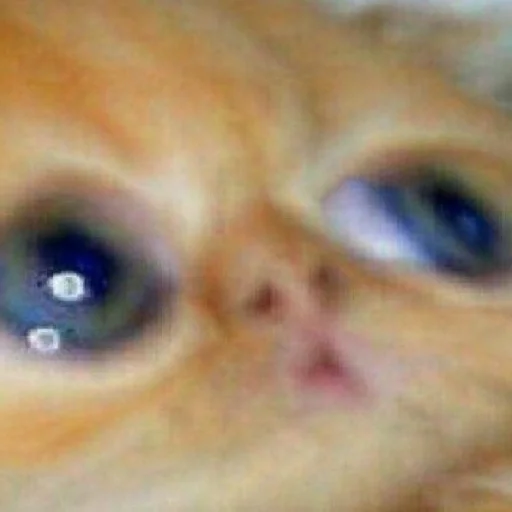 Эмодзи ANIM3M3S