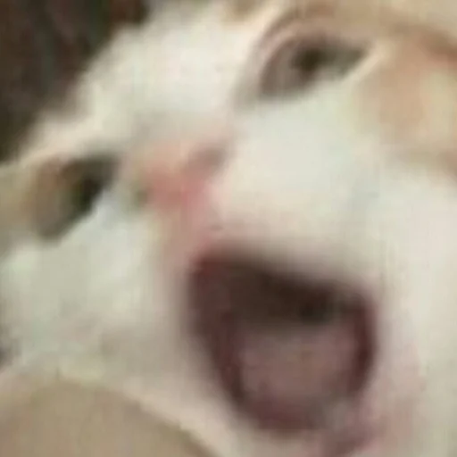 Эмодзи ANIM3M3S