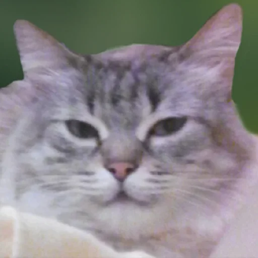 Эмодзи ANIM3M3S