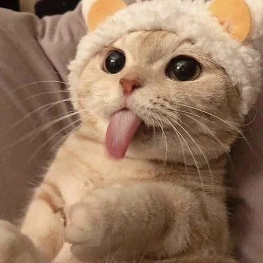 Эмодзи ANIM3M3S