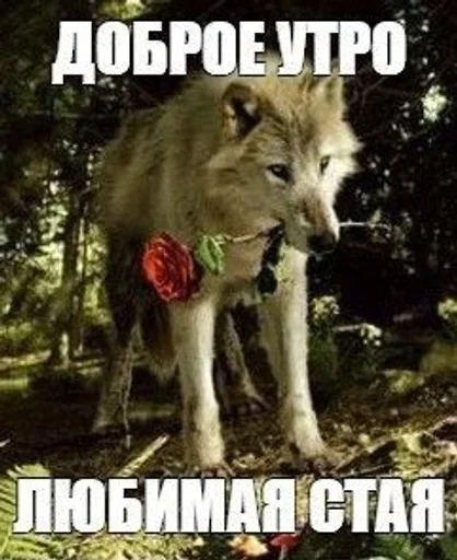 Эмодзи серьёзный пак