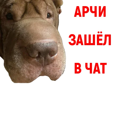 Эмодзи Андрюша из ТикТока
