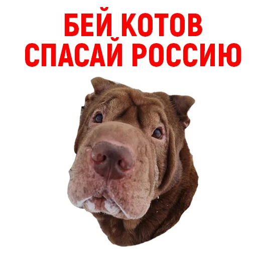 Эмодзи Андрюша из ТикТока