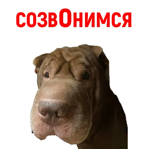 Эмодзи Андрюша из ТикТока