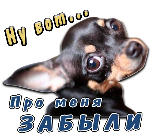 Эмодзи животные