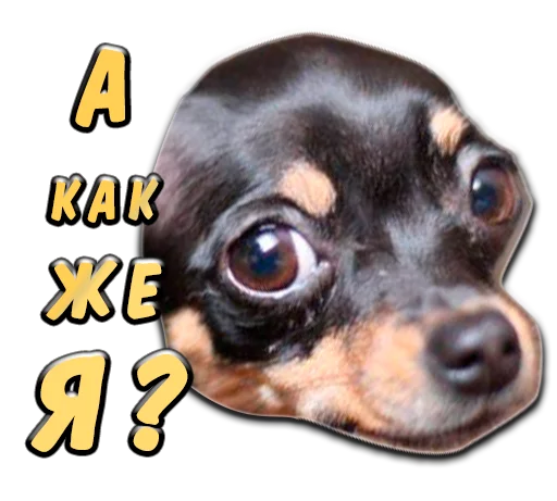 Эмодзи животные