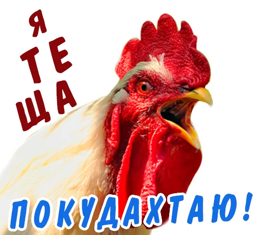 Эмодзи животные