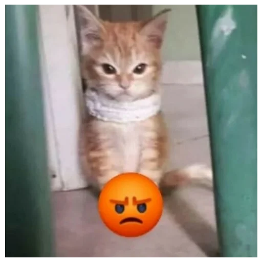 Эмодзи animales