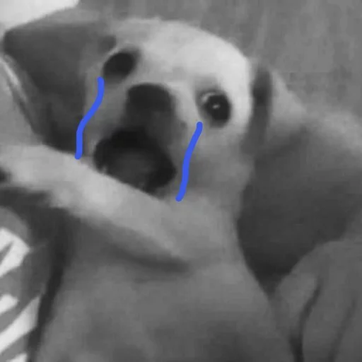 Эмодзи Pets Memes