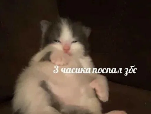 Эмодзи ебучие животные