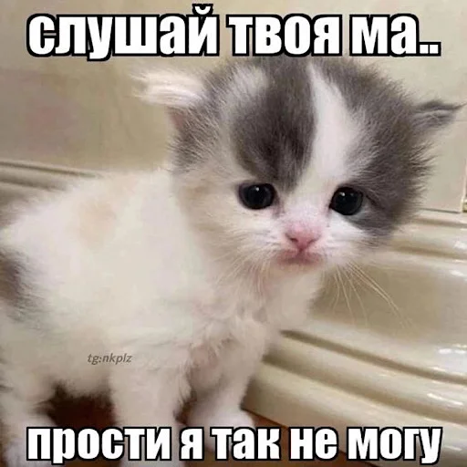 Эмодзи ебучие животные