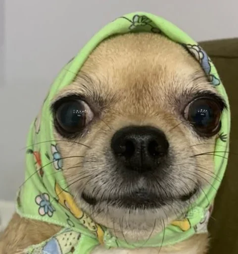 ☺️