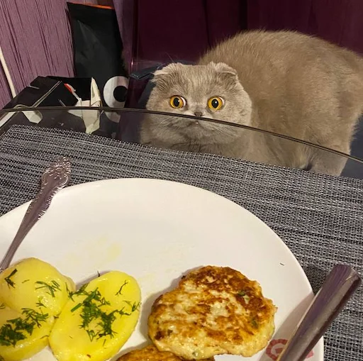 Эмодзи Классные животные