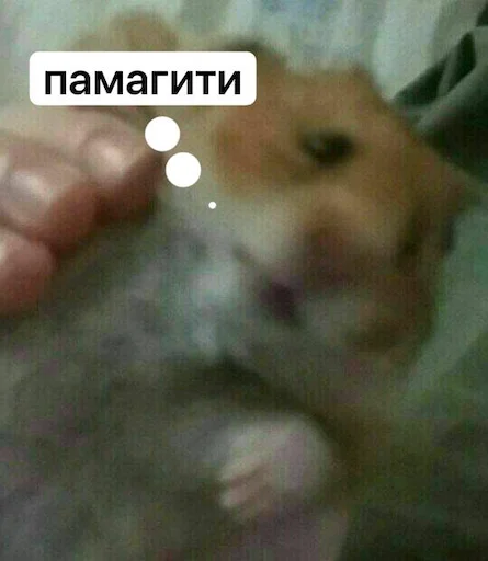 Эмодзи Классные животные