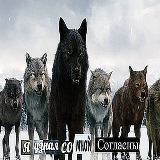 Эмодзи Антицирк