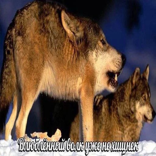 Эмодзи Антицирк