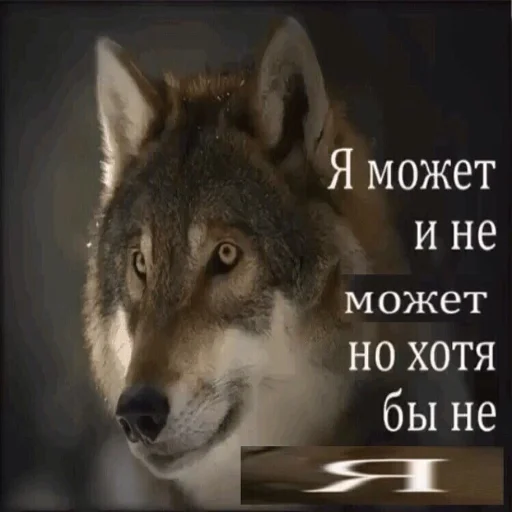 Эмодзи Антицирк