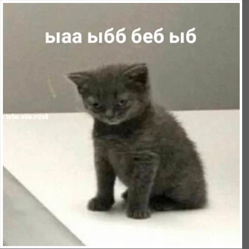 Эмодзи arbuzzer 09 11