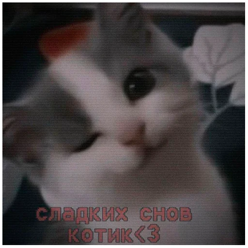 Эмодзи arbuzzer 09 11