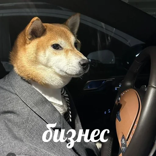 Эмодзи AVENZOO