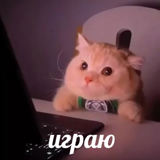 Эмодзи AVENZOO