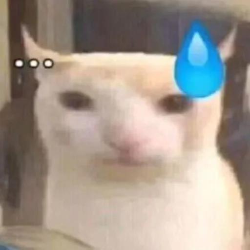 Эмодзи Cats memes