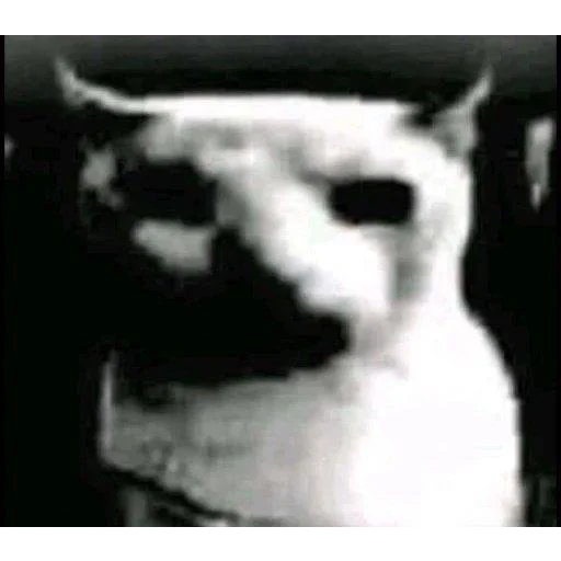 Эмодзи Cats memes