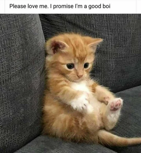 Эмодзи meong