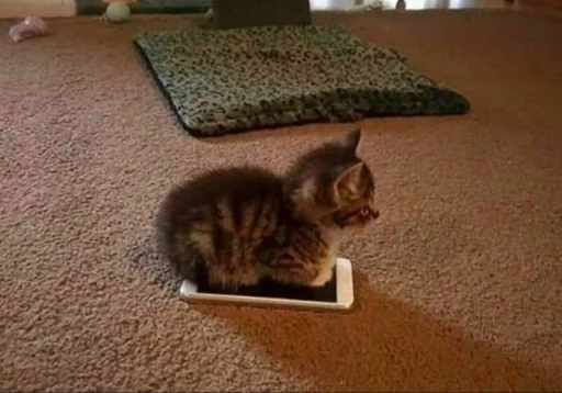 Эмодзи meong