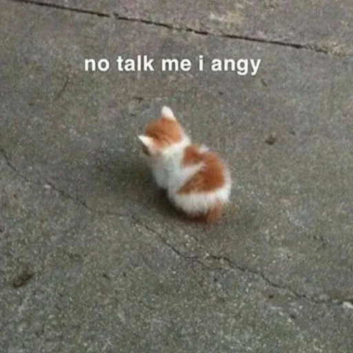 Эмодзи meong