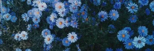 Эмодзи استیکرساز😍