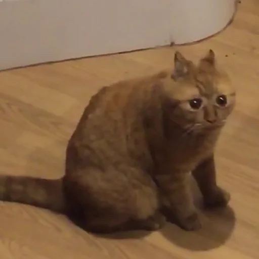 Эмодзи Опять на работу