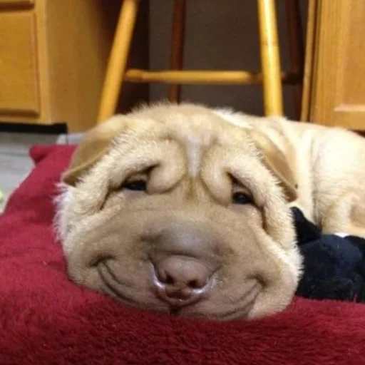 Эмодзи Собаки