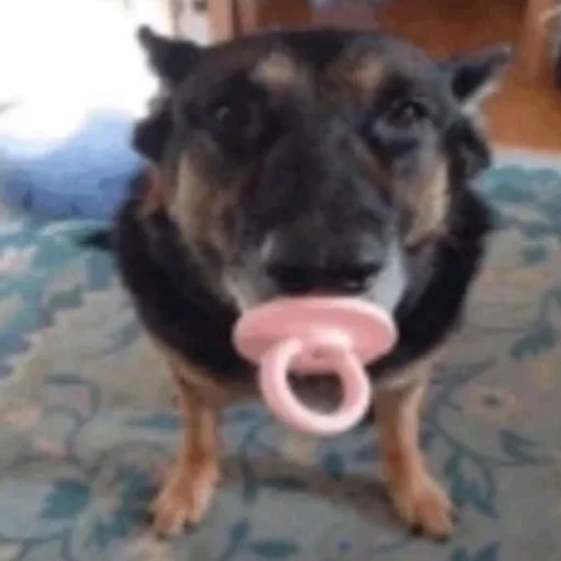 Эмодзи Собаки