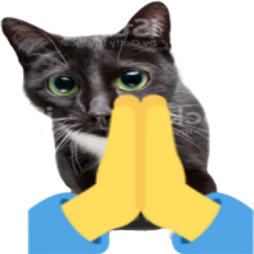 ?