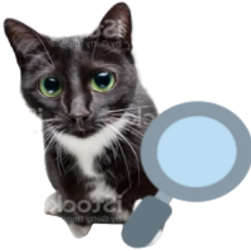 Эмодзи Kitty