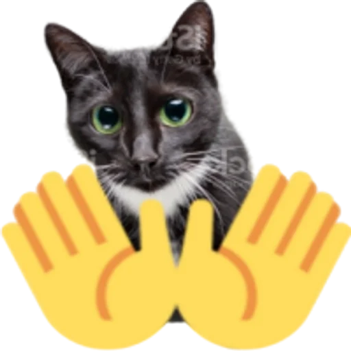 Эмодзи Kitty