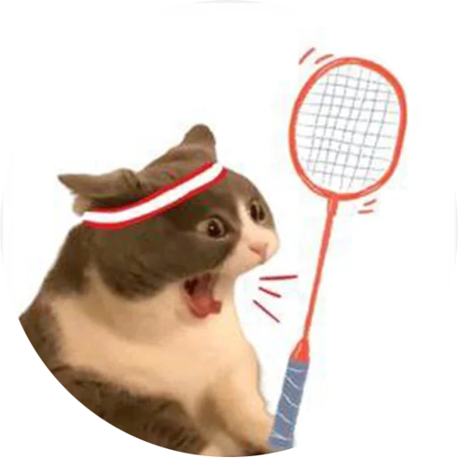 Эмодзи badminton