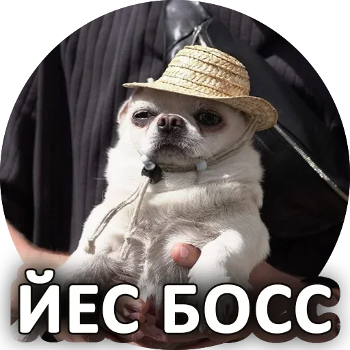 ?