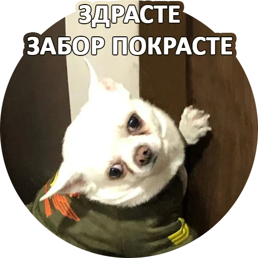Эмодзи Fawning