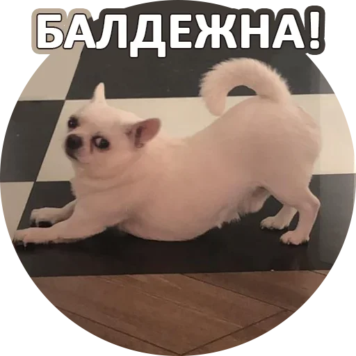 Эмодзи Fawning