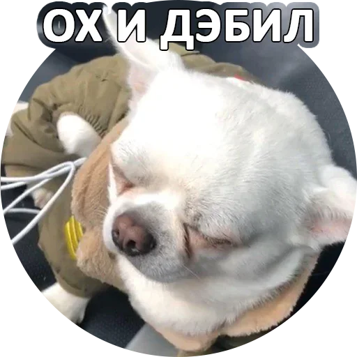 Эмодзи Fawning
