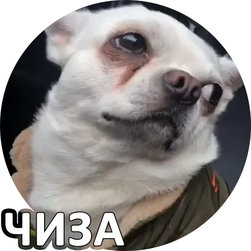 Эмодзи Fawning