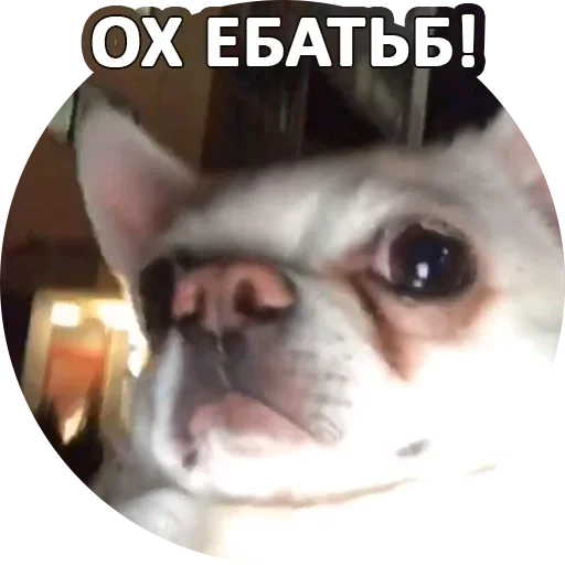 Эмодзи Fawning