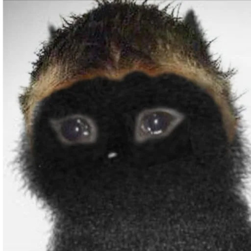 Эмодзи Based Cat