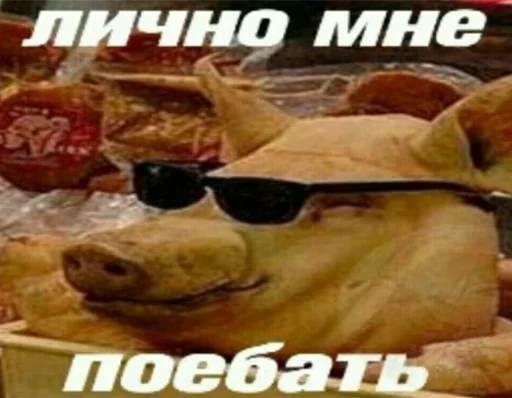 Эмодзи Stupid Stickers
