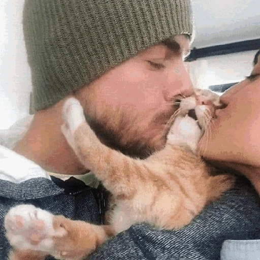 Эмодзи Funny Cats