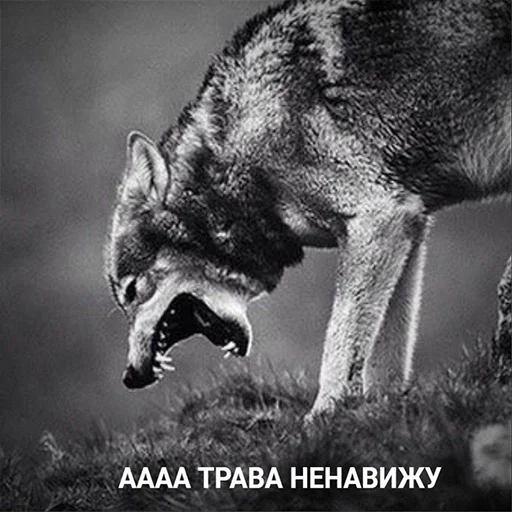 Эмодзи Memes